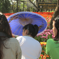 Flower Festival Chiang Rai Thailand