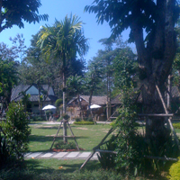 Hot springs in Chiang Rai