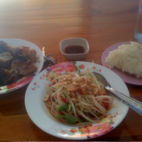 sticky rice, chicken and papaya salad