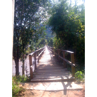 Wooden bridge acroos river in Chiang Rai